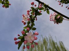 -海棠花溪(元大都城垣遗址公园)