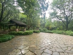 -杭州半山国家森林公园