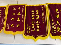 -中农国际动物医院24小时·猫科·骨科·急重症中心