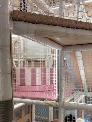 -超级奈尔宝SUPER NEOBIO(杭州星光店)