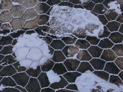 -沈阳鸟岛