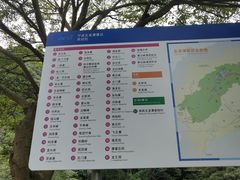 -宁波五龙潭景区