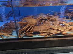 -阿伟海鲜楼·福建菜(延寿店)