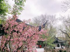 -拙政园