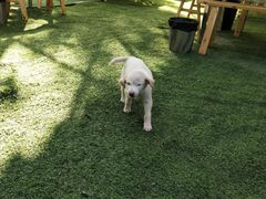 -三圣花乡旅游区