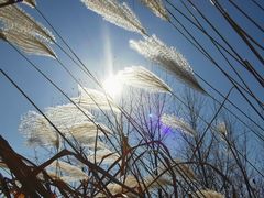-浙江农林大学(东湖校区)