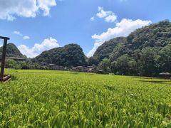 -高荡千年布依古寨旅游景区