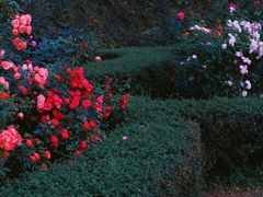 -人民公园(罗湖区)