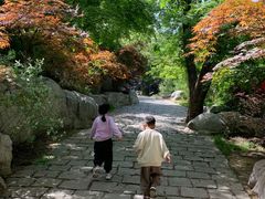 -大伊山景区