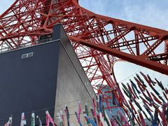 -Animate(秋叶原本馆)