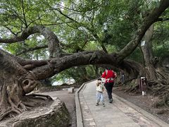 -抚仙湖禄充风景区