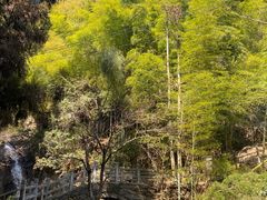 -东天目山风景区