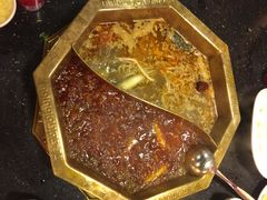 蜀九香火锅酒楼(彩虹店)-蜀九香火锅(彩虹店)