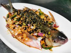 豉汁蒸西江大鲮鱼-八仔大富楼·河鲜(西江店)