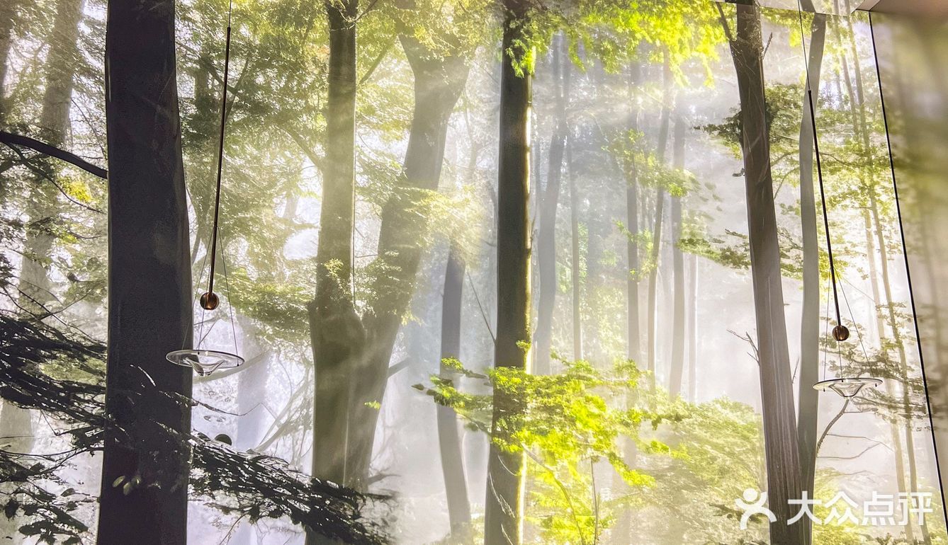 啊啊西乡塘新餐厅!!美哭了!!