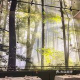 啊啊西乡塘新餐厅!!美哭了!!