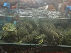 -班赞海鲜市场