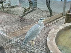 -青藏高原野生动物园