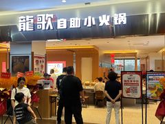 -龍歌自助小火锅(市南金茂湾店)