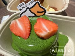 -狐狸和向日葵(北京路店)