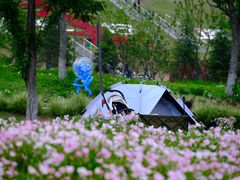 -佛手湖郊野公园