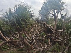 -龙坑生态保护区