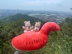 -紫金山山顶公园