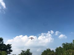 -金谷域澳洲庄园