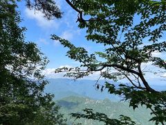 -牛背梁国家森林公园
