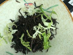 -Lotus 莲花空间(国贸商城店)
