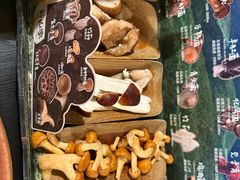 时珍至味山菌汤锅（不含肉）-芸山季·云南山珍菌火锅(人民广场来福士店)