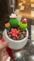 -中法母婴月子中心(南湖创始店)