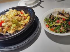 -鸽小宝(深圳首店)