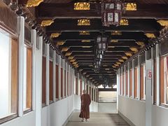 -阿育王寺