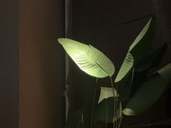 -儒之堂·足道养生SPA影院式(万融城店)