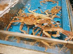 活帝王蟹-蟹将军·松叶蟹和牛日料放题自助(K11店)