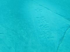 -白鹤梁水下博物馆