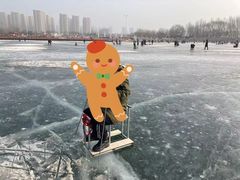 -丁香湖公园
