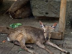 -长白岛森林公园