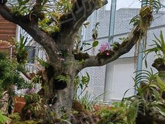 -国家植物园南园