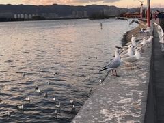 -昆明洲际酒店
