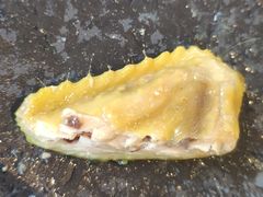 -雨林餐厅(长隆海洋王国店)