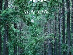 -黄海国家森林公园