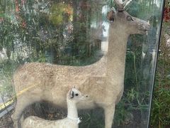 -仿膳饭庄·宫廷风味(百年传承店)