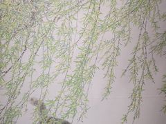 -二沙岛-广东华侨博物馆