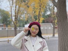 -三里屯东五街银杏大道