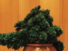 -全季酒店(广州越秀公园店)