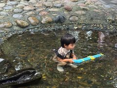 -成都市活水公园