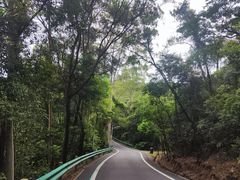 -佛山市三水区大南山森林公园