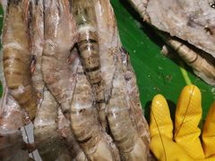 -鼎香缘海鲜自助火锅烤肉(锦辉购物广场店)